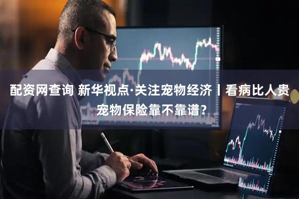 配资网查询 新华视点·关注宠物经济丨看病比人贵 宠物保险靠不靠谱？