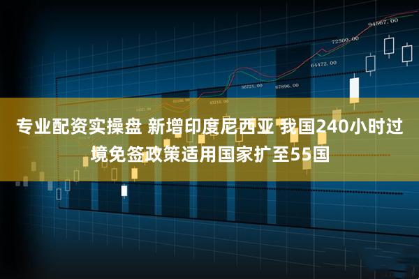 专业配资实操盘 新增印度尼西亚 我国240小时过境免签政策适用国家扩至55国