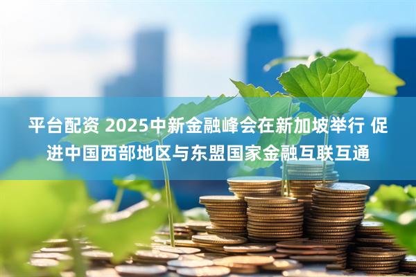 平台配资 2025中新金融峰会在新加坡举行 促进中国西部地区与东盟国家金融互联互通