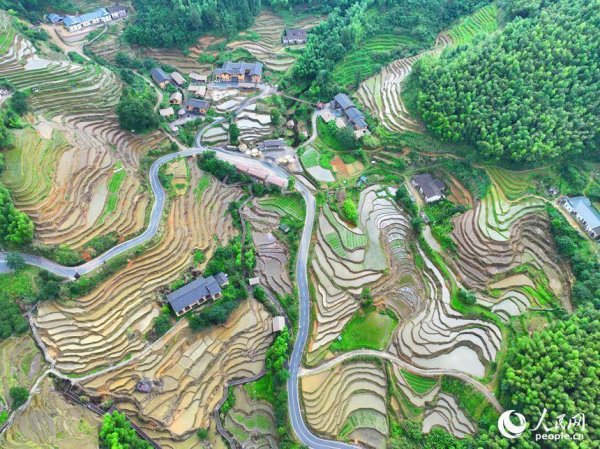 新型股票配资 江西崇义：盛夏梯田 层叠如画